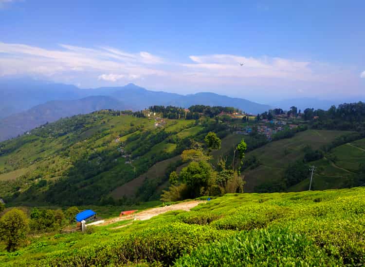 Darjeeling