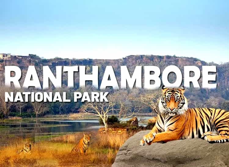 Ranthambore National Park - Tourist Attractions in India