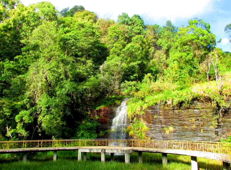 Waterfalls in Tamil Nadu