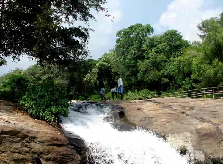 Waterfalls in Tamil Nadu