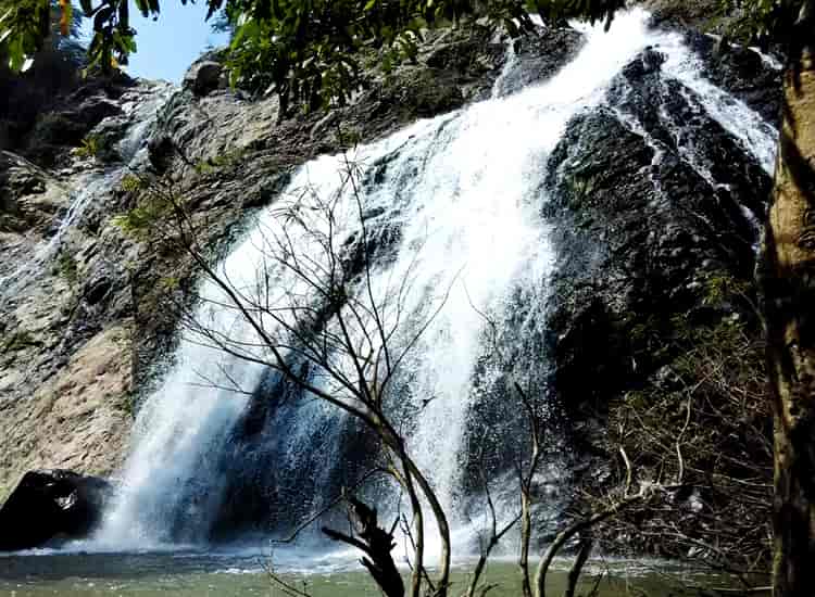 Waterfalls in Tamil Nadu